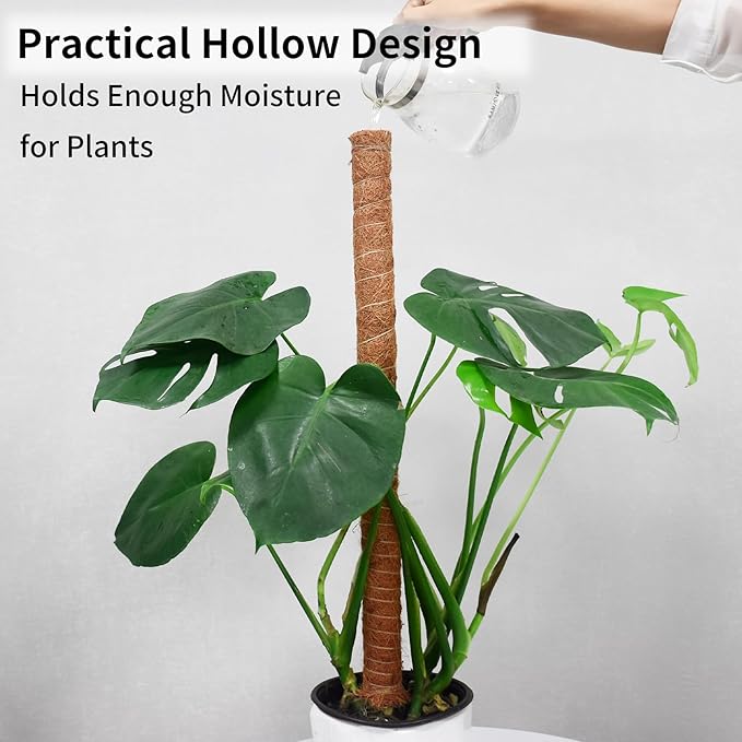 JJGoo Moss Pole for Plants Monstera, 2 Pack 23.6 inch Plant Support Pole, Extendable Coir Totem Pole for Potted Plants Pothos,Train Indoor Climbing Plants to Grow Upwards - Extends to 40.6 Inches