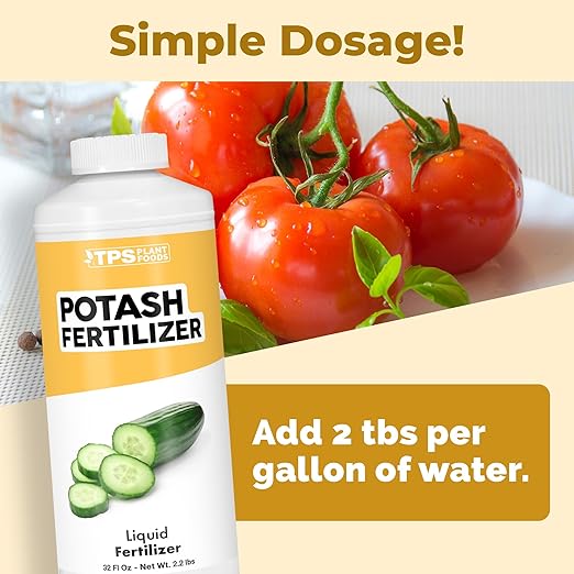 Potash Fertilizer – Liquid Potassium Supplement for More Blooms, Better Fruit & Stronger Plants, 32 oz