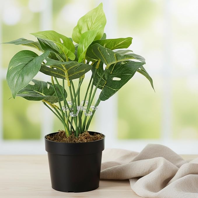12 Pcs Climbing Houseplant Stem Supports, 4-Size Acrylic Plant Stem Holders Plants Stabilizers Plants Support Rings for Indoor Potted Climbing Frame Monstera(Transparent)