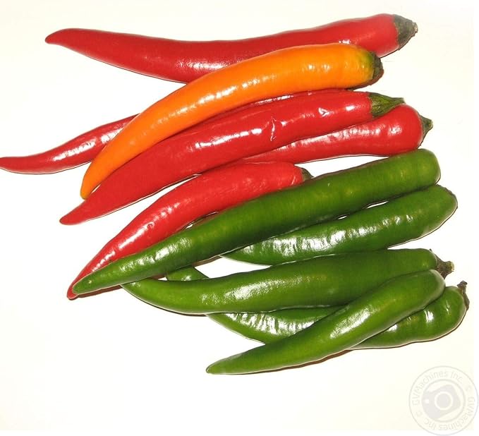 Seeds Vegetable Ornamental Chili Pepper Mix Decorative Rainbow Plant - 30 Seeds