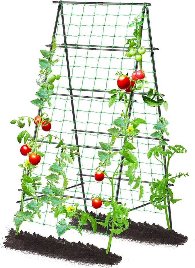 Lalahoni Garden Trellis for Climbing Plants Outdoor, 31.5x70.8 inch Metal A-Frame Cucumber Trellis Raised Bed, Climbing Plant Support Vine Fruit Flower Vegetable Tomato Peas Bean Trellis, with Netting