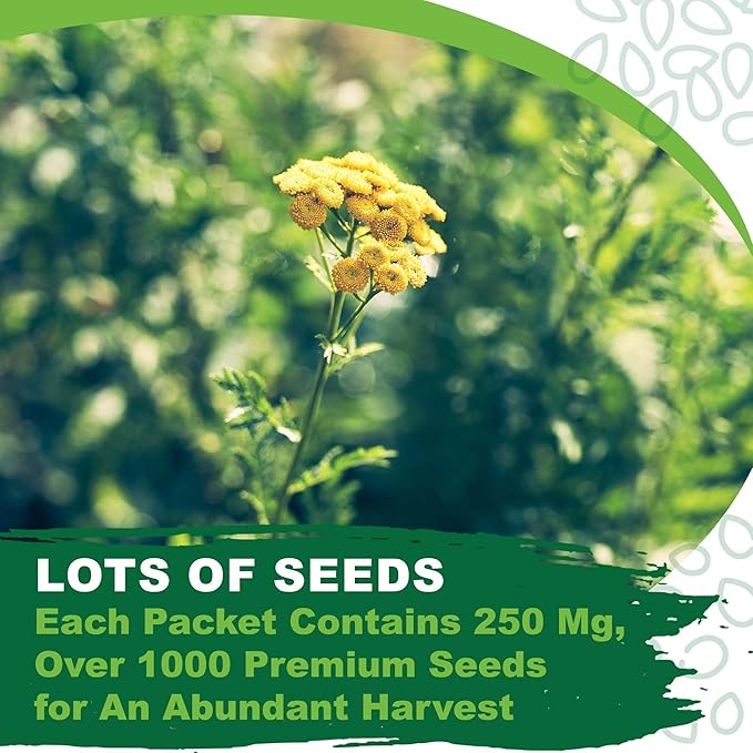 TKE Farms & Gardens - Wormwood Seeds for Planting, 1000+ Heirloom Non-GMO Seeds, Aromatic Perennial Herb with Silvery Foliage, Hardy and Drought-Tolerant, Beautiful Low-Maintenance Garden Plant