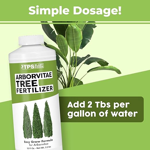 Arborvitae Tree Fertilizer – Liquid Plant Food for Fuller Green Foliage, Faster Growth & Stronger Root Development, 32 oz