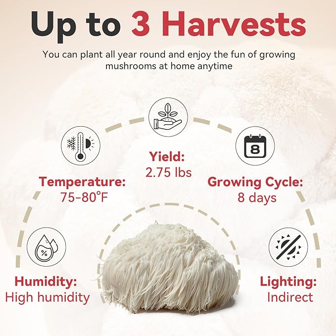 inbloom Organic Lion's Mane Mushroom Growing Kit with Spray, Harvest Fresh Mushrooms at Home, Beginner Friendly & Easy to Use, Unique Gardening Gift for Holiday, Handmade in New Jersey, USA