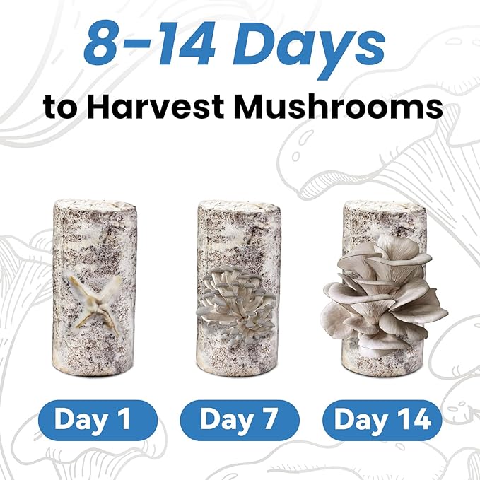 Organic Edible 4lbs Oyster Mushroom Growing Kit, Made in USA, Double-Side Mushroom Grow Kit Indoor, Harvest Gourmet Mushrooms in 10 Days, Top Gardening Gift, Holiday Gift