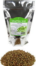 Dun Pea Sprouting Seeds - 1 Lbs - Dried Dun Peas - Edible Seeds, Gardening, Hydroponics, Growing Salad Sprouts & Microgreens, Planting, Food Storage, Soup & More