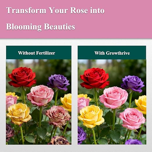 Rose Liquid Fertilizer 10 oz – Organic Rose Plant Food with Probiotics, Natural Flower Fertilizer for Bigger Blooms, Greener Leaves & Healthy Roots – Concentrated 1:400 Formula
