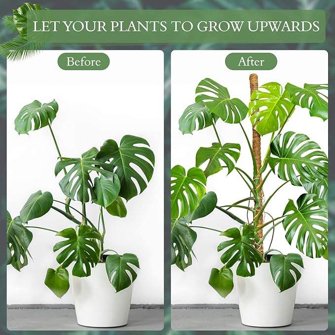 2 Pack Moss Pole for Plants Monstera - 25 Inch Plant Stakes for Indoor, Moss Poles for Climbing Plants, Handmade Coco Coir Pole Plant Support for Creeper Plants Grow Upwards（Handmade Palm）