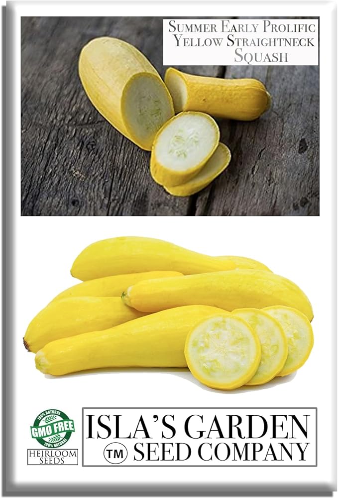 Early Prolific Straightneck Squash Seeds – 50+ Non-GMO & Heirloom Vegetable Seeds, Cucurbita Pepo, Fast Growing Yellow Summer Squash, High Yield for Containers & Gardens, Gift Idea by Isla’s Garden