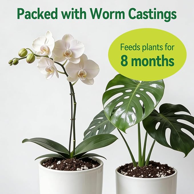 Zeedix Potting Soil Mix for Indoor Houseplant, Include Perlite, Compost, Peat Moss, Coco Coir and Vermiculite, Well Draining Potting Mix, Promote Healthy Root Development and Faster Plant Growth, 1qt