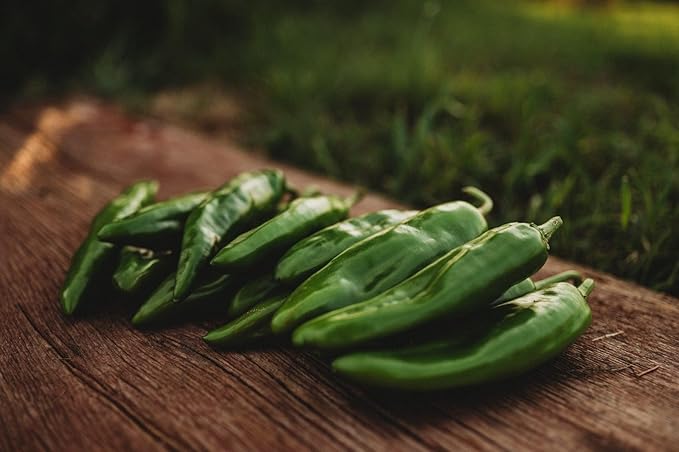 Anaheim Pepper - 25 Seeds - Popular New Mexican Chili Variety, Spicy Hot Peppers, Non-GMO Heirloom Green Chili Seeds for Planting in The Home Garden, Thresh Seed Company