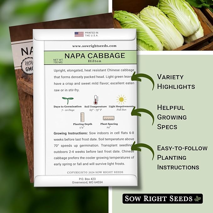 Sow Right Seeds - Hilton Cabbage Seeds for Planting Outdoors - Culinary Asian Variety - Non-GMO Heirloom Chinese Napa Cabbage - Easy Grow Garden & Home Use for Healthy & Delicious Recipes (2)
