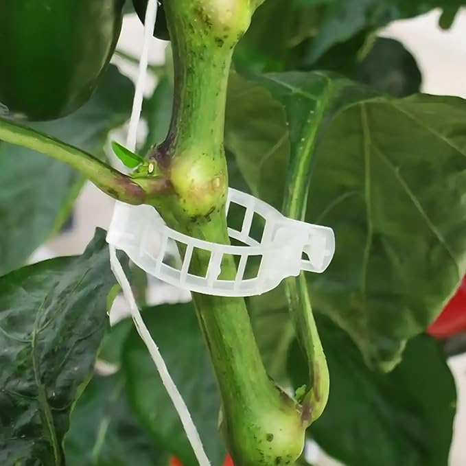 Greenhouse Trellising Kit, 10 PCS Tomato Hooks with String & 100 PCS Support Clips, Metal & Nylon, White, Linear Plant Support, Tomato Trellis