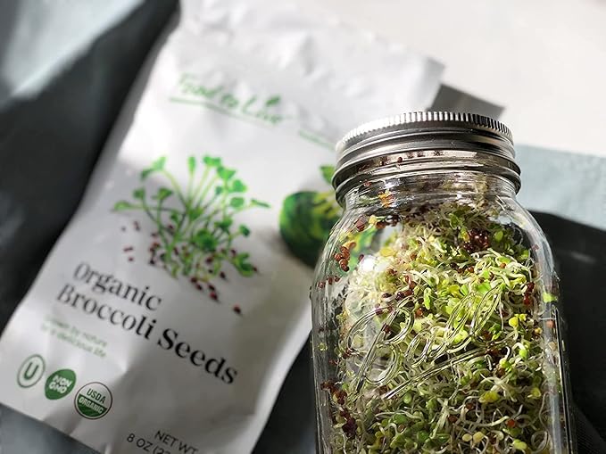 Food to Live Organic Broccoli Seeds for Sprouting, 1.5 Pounds – Non-GMO, Vegan, Kosher, Sirtfood, Bulk. Rich in Sulforaphane, Vitamin C. Grow Sprouts, Microgreens for Salads, and Sandwiches