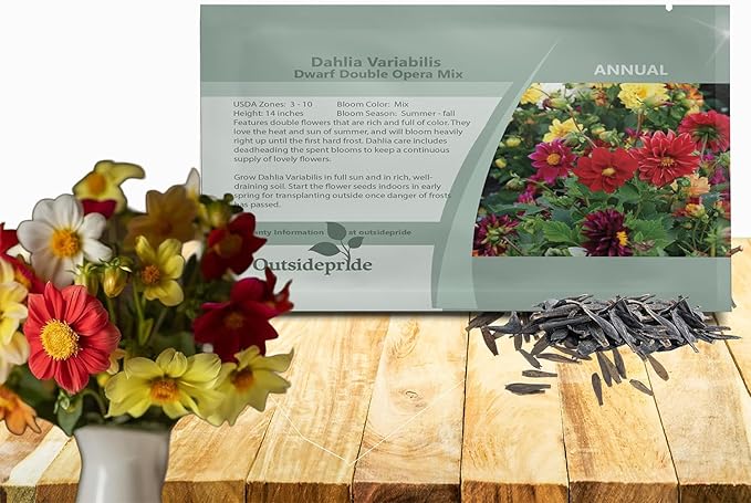 Outsidepride Opera Mix Dahlia Seeds for Planting - 200 Pcs Annual, Easy to Grow, Season-Long Flower Seeds with Colorful Blooms for Containers, Pots, Borders, & Gardens, Suitable as Cut Flower