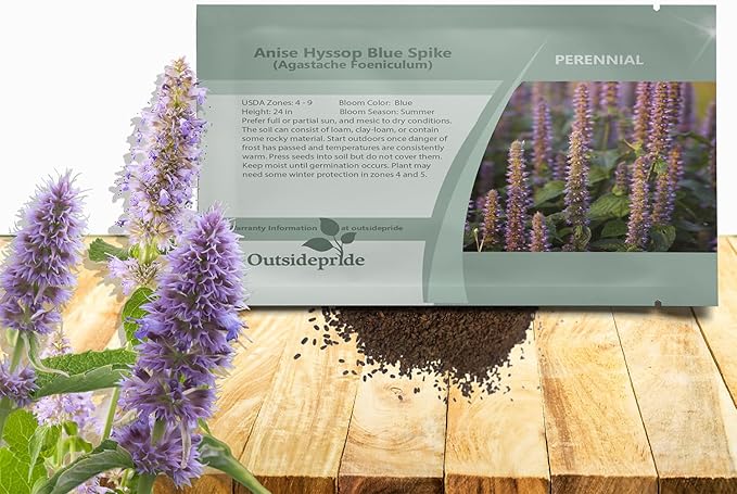 Outsidepride Blue Spike Anise Hyssop Seeds for Planting - 1000 Pcs Perennial Herb Garden Seeds with Fragrant Blooms Attractive to Pollinators, for Small Gardens, Containers, & Xeriscaping