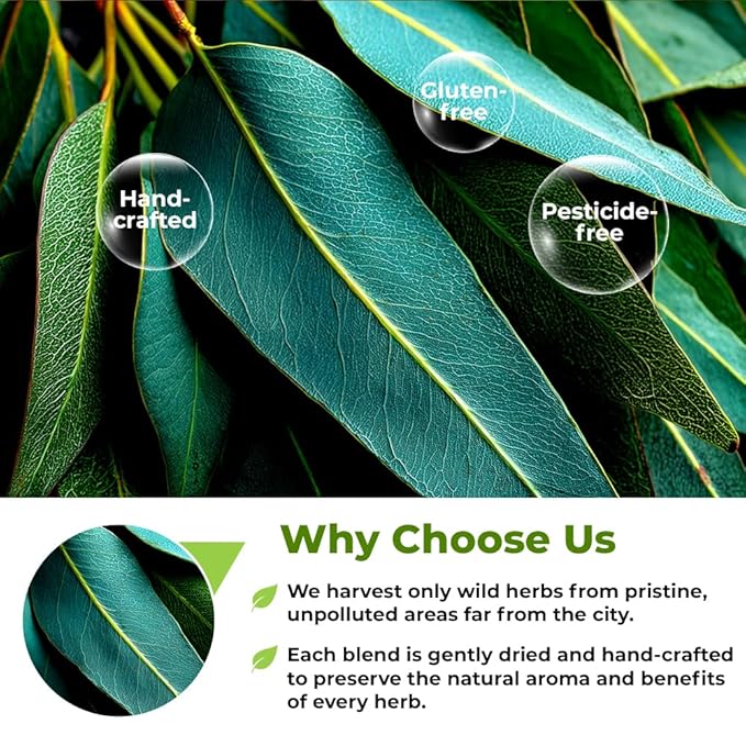4 oz Dried Eucalypt Leaves Dry Herbal Tea (Eucalyptus) 113g Long Big Eucalyptus Leaf Herb Hojas De Eucalipto