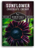 Chocolate Cherry Sunflower Seeds for Planting | Rare Burgundy Black Blooms, 6-7ft Giant Non-GMO Heirloom Flower - Survival Garden Seeds (1 Pack)