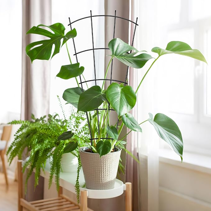 4 Pack 32" Metal Plant Trellis for Pots & Garden Beds, Rustproof Support for Indoor Outdoor Climbing Plants, Vines, Flowers, Fan Shaped, Black