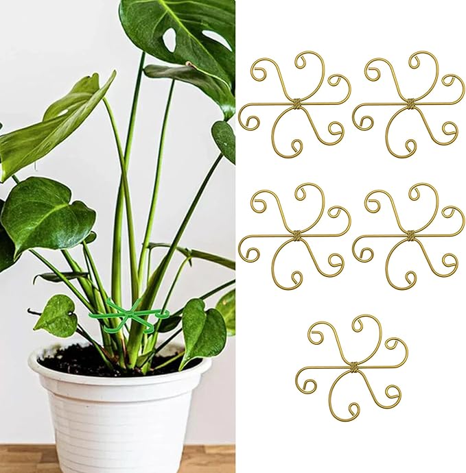 Iron Plant Stem Support Suitable for Plant Stems Turtleback Bamboo Clips, Indoor Growing Climbing Plants Supports, 5 PCS
