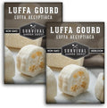 Survival Garden Seeds - Luffa or Loofah Seed for Planting - 2 Packets with Instructions to Plant and Grow Ornamental Gourds in Your Home Vegetable Garden - Non-GMO Heirloom Variety
