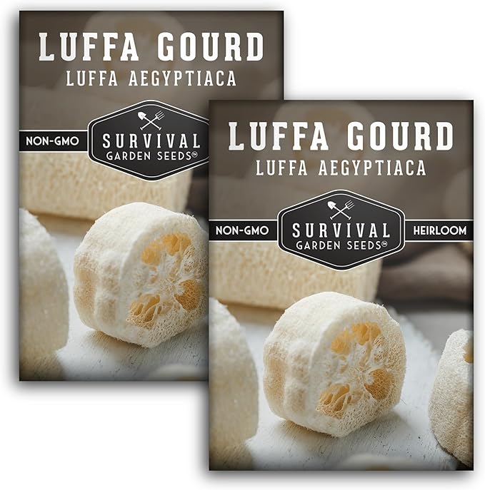 Survival Garden Seeds - Luffa or Loofah Seed for Planting - 2 Packets with Instructions to Plant and Grow Ornamental Gourds in Your Home Vegetable Garden - Non-GMO Heirloom Variety