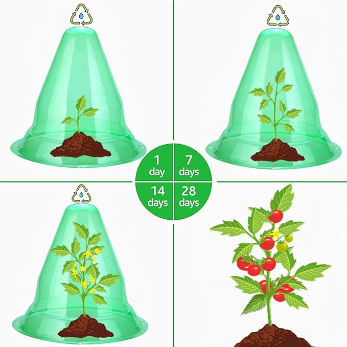 【30 Pieces】 Garden Cloches for Plants, Large Plant Covers Plant Protectors Transparent Bell Jar Cloches to Protect Plants from Birds, Slugs, Frost, Freeze Weather, 10.6" D x 9.5" H, Green (30PCS(Big))