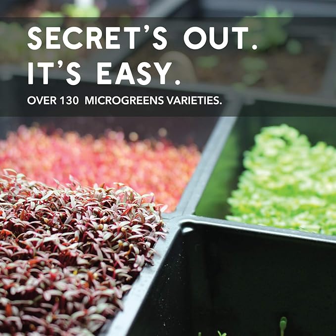 Kale Microgreens Seeds - 1 Oz ~8000 Seeds - Non-GMO - Seed for Growing Micro Greens - Premium, High Germination Rate Seed - Brassica oleracea