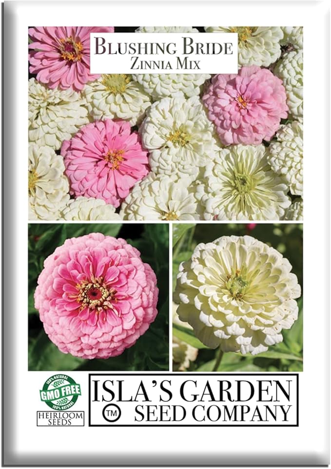 Blushing Bride Mix Zinnia Seeds (Zinnia elegans) – 200+ Heirloom Non-GMO Seeds by Isla’s Garden Seeds, Soft White & Pink Blooms, Elegant Cut Flowers, Long Blooming, Garden Gift Idea