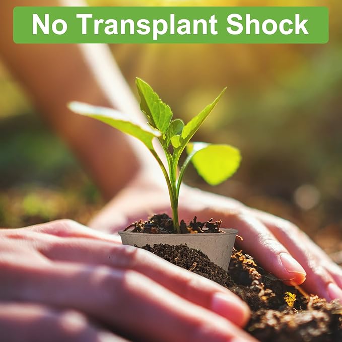 TAOLABV 30 Packs Peat Pots, 3.1 Inch Seed Starting Pots Without Drainage Holes, Biodegradable Round Nursery Pot, Starting Seeds of Vegetables, Herbs, and Flowers