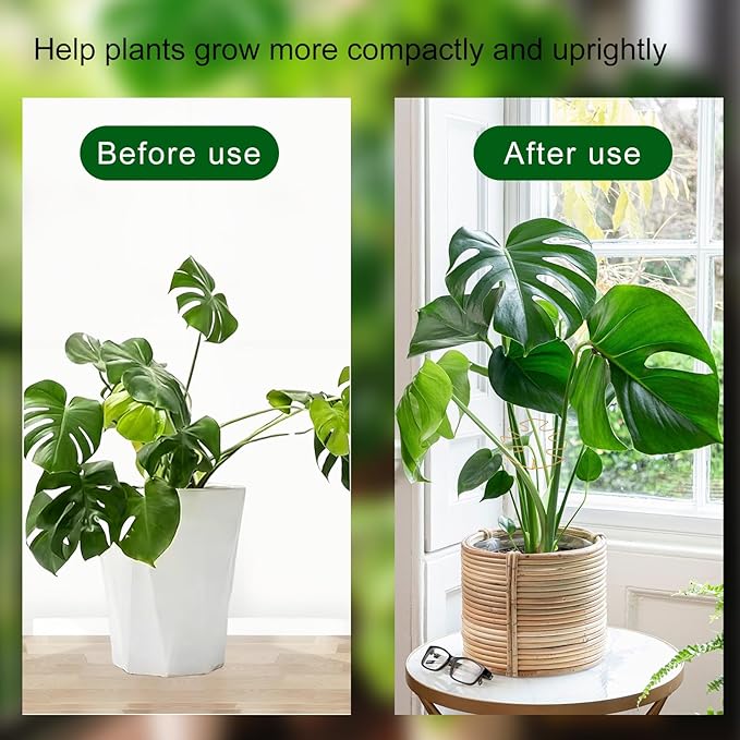 Honbay 5PCS Iron Monstera Stem Support Frame 6-Leaf Gold Alloy Plant Support Bracket for Indoor Outdoor Plants, Flower Stem Support for Garden Home