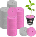 20-Pack Cloning Collars Inserts, Hydroponics Sponge Systems Cloning DIY Foam Cloner Inserts Fits 2" Net Pots for Hydroponic/Clone Machines/Plant Germination [Grey, Rose Red]