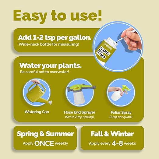 Sulfur Fertilizer – Liquid Sulfur Amendment for Greener Leaves, Better Nutrient Uptake & Stronger Plants, 32 oz
