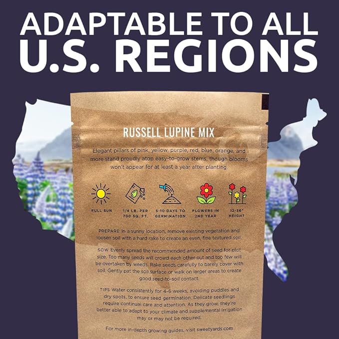 Russell Lupine Seeds – Bulk Quarter Pound Bag – Over 5,000 Open Pollinated Non-GMO Perennial Wildflower Seeds – Lupinus polyphyllus