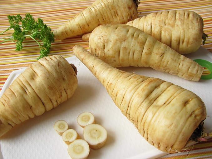 Seeds Parsnip Vegetable Heirloom Non GMO for Planting