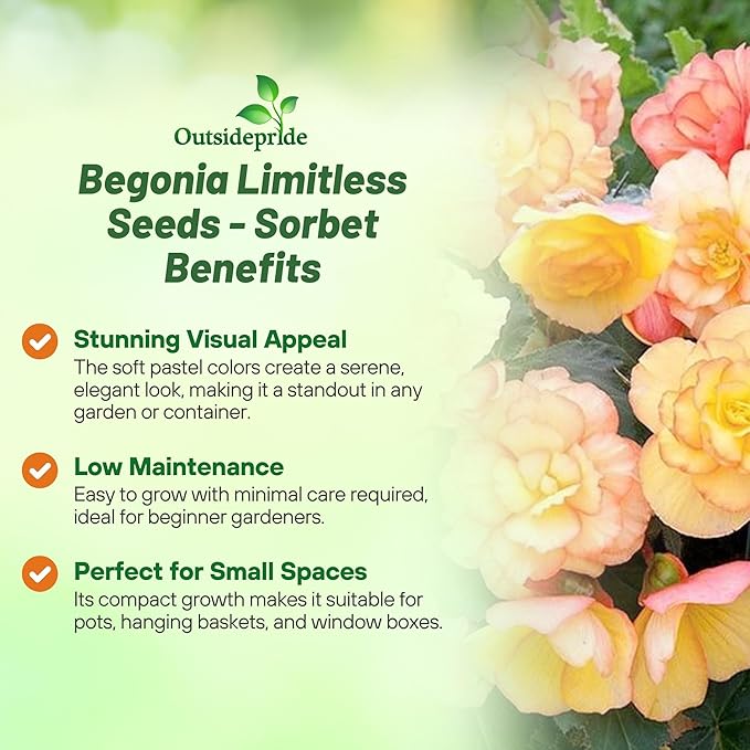 Outsidepride Sorbet Limitless Begonia Seeds for Planting - 25 Pcs Perennial Flower Seeds with Large Blooms, Arching & Pendulous Growth Habit, for Containers, Hanging Baskets, or Landscape Plantings
