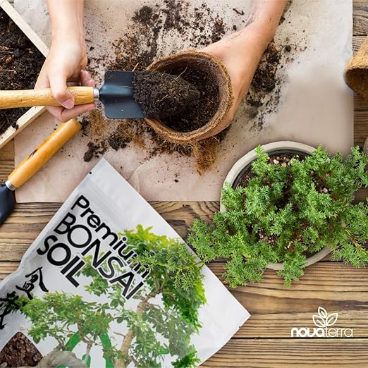 Bonsai Soil Mix Ready to use Tree kit Lotus Seeds for Planting in Water Bonsai pots Wire Tree pots akadama Soil 2 oz Bag of Fertilizer Pellets Inside 2.4 Qts