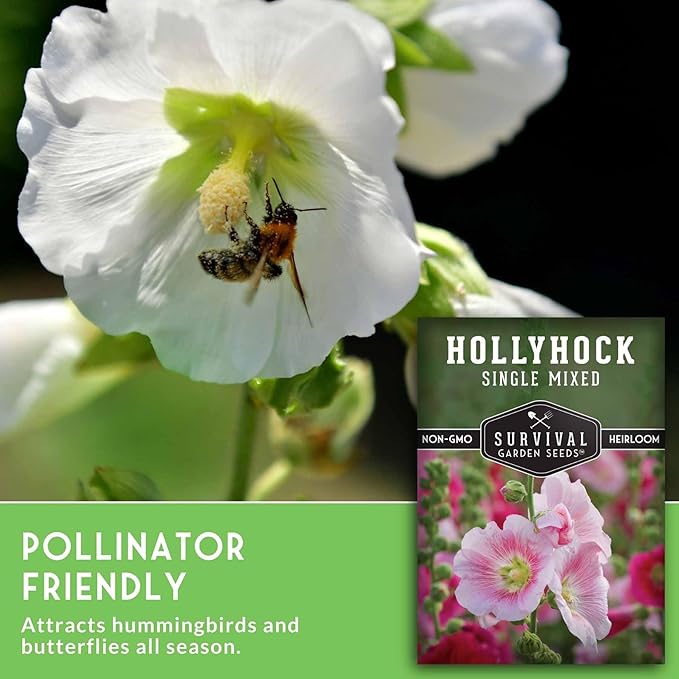Single Mixed Hollyhock Seeds for Planting - Plant & Grow Colorful Tall Spikes of Flowers in Your Home Vegetable Garden - Non-GMO Heirloom Variety - Survival Garden Seeds (5 Packs)