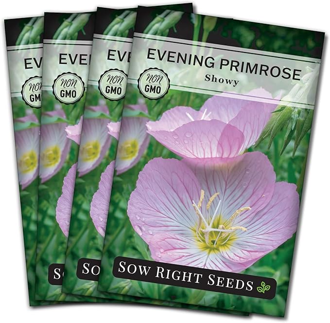 Sow Right Seeds - Showy Evening Primrose Flower Seeds for Planting - Non-GMO Heirloom Packet with Instructions - Native Wildflower for Pollinators - Perennial Pink Ladies, Mexican Evening Blooms (4)