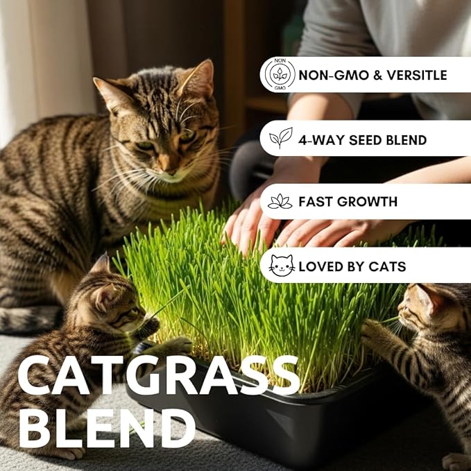Cat Grass Seeds for Growing | 4 Way Blend, Rye, Wheat, Oats and Barley | Made in USA | Safe Non-GMO Pet Grass for Cats & Pets | Fast Sprouting (2 Pounds)