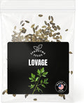 Fall & Winter Lovage Seeds for Planting – 200+ Cold Tolerant Non-GMO Heirloom USA-Grown Seeds, Flavorful Culinary Herb & Medicinal Plant (Levisticum officinale)