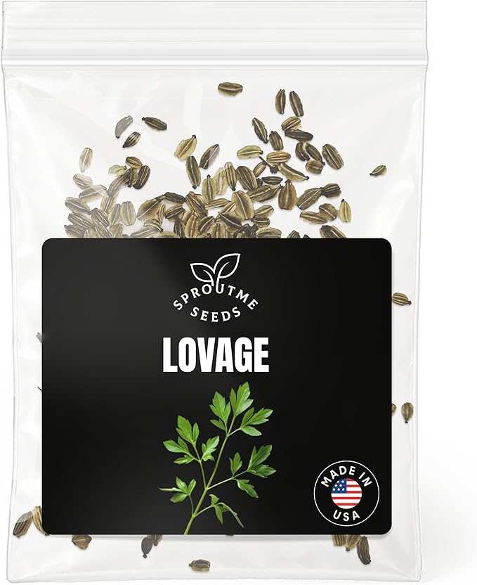 Fall & Winter Lovage Seeds for Planting – 200+ Cold Tolerant Non-GMO Heirloom USA-Grown Seeds, Flavorful Culinary Herb & Medicinal Plant (Levisticum officinale)