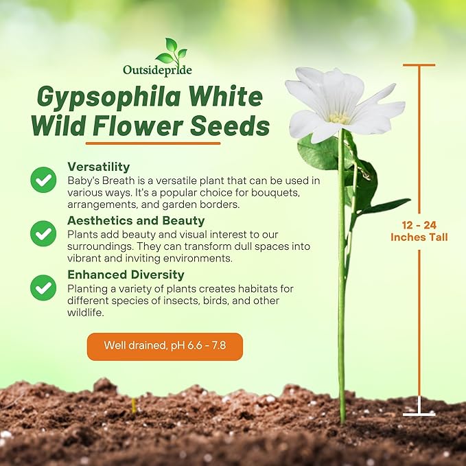 Outsidepride Gypsophila White Baby's Breath Seeds - 1/4 lb. Annual Hardy, Easy to Grow & Drought Tolerant Wild Flower Seeds for Planting Vibrant Blooms in Pollinator Gardens & Floral Arrangements