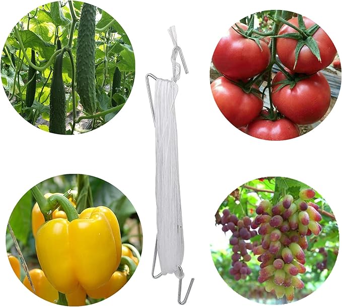 60pcs Tomato Hooks with String, Tomatoes Holder Hooks with 32.8ft Twine & Plant Support Clips, Vegetable Support J-Hook Clips Climbing Vine Crop Trellis Hooks for Vegetable Plant Fruit Flower (White)