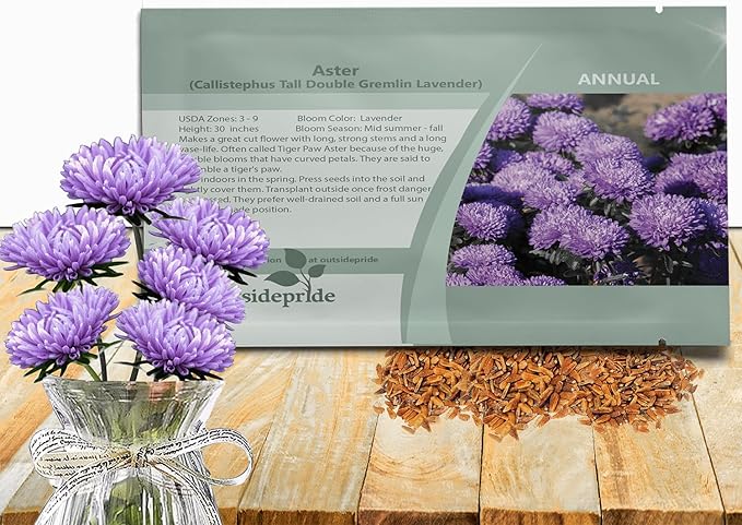 Outsidepride Gremlin Aster Seeds - 1000 Pcs. Annual, Hardy & Pollinator Friendly Flower Seeds for Planting Vibrant Lavender Blooms and Oval-Shaped Leaves, Great for Meadows & Aesthetic Gardens