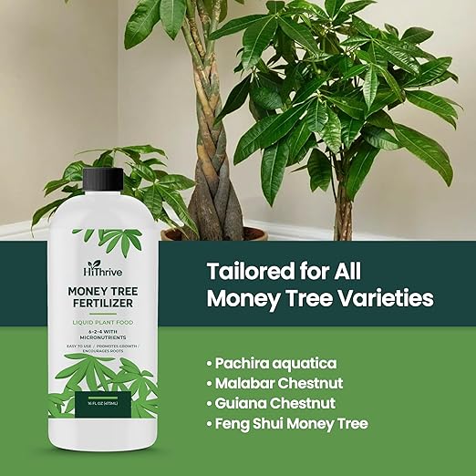 16oz Money Tree Plant Indoor Fertilizer - Makes 96 Gallons of Money Tree Fertilizer - Nutrient-Rich Plant Food with Macro & Micronutrients for Glossy Leaves, Strong Roots, and Lush, Tropical Growth