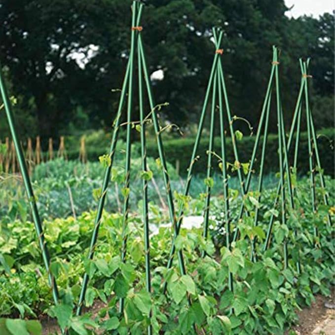 Growsun Tomato Stakes 5ft Metal Plastic Coated Garden Stakes Plant Cage Supports Treills Climbing for Tomatoes,Trees,Cucumber,Fences,Beans,25 Pack