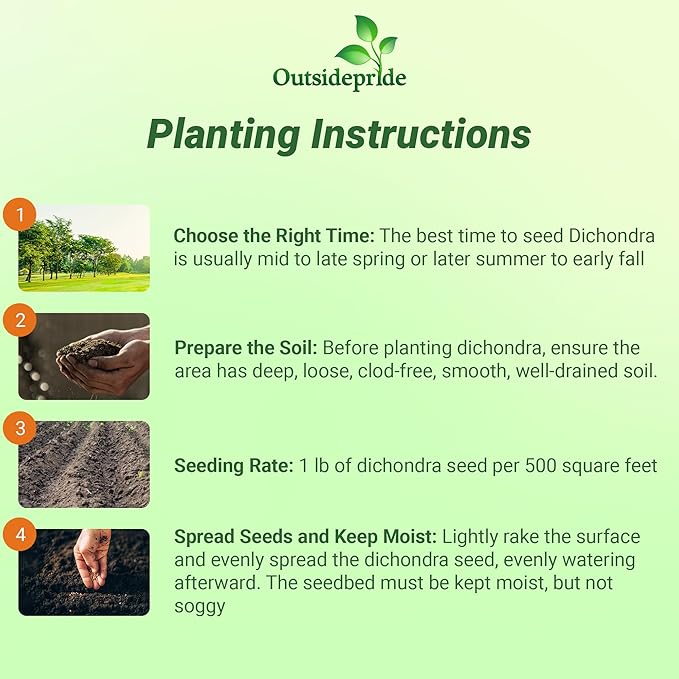 Outsidepride Perennial Dichondra Repens Seeds - 1 lb Dense Green, Low-Maintenance Ground Cover Seeds for Planting, Ideal Lawn Alternative in Sun or Shady Areas & Erosion Control in USDA Zones 8-11