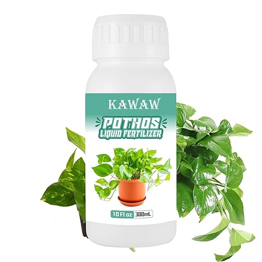 10 oz Pothos Plant Food Liquid Fertilizer - Organic Probiotic Nutrient Solution for Indoor Houseplants, Vibrant Leaves & Root Growth