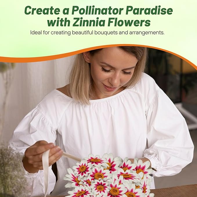 Outsidepride Zinnia Marylandica Zahara Rose Starlight Seeds – 50 Pcs. Annual Bicolor Blooms, Drought & Heat Tolerant Flower Seeds, Ideal for Garden Beds & Pollinator-Friendly Spaces (AAS Winner)